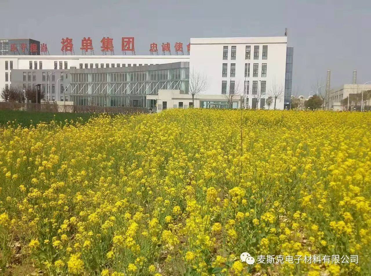 公司展示