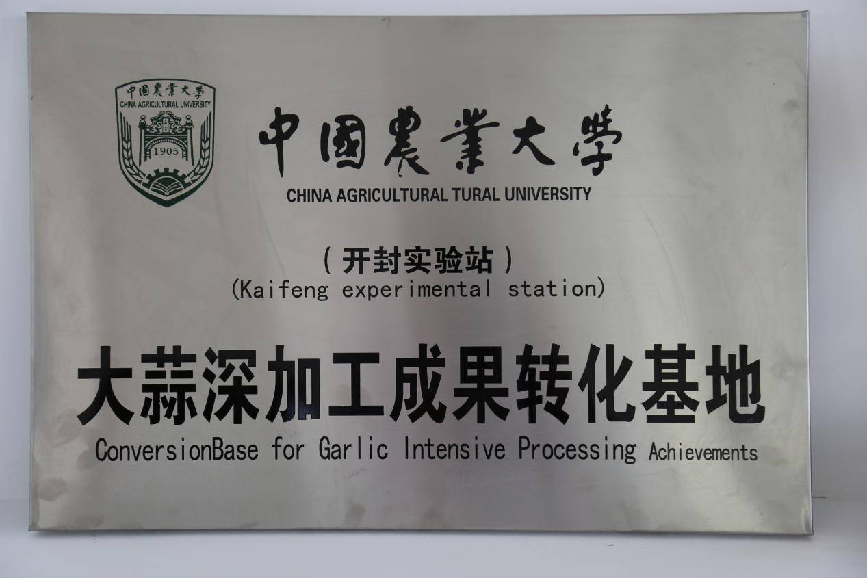 公司展示