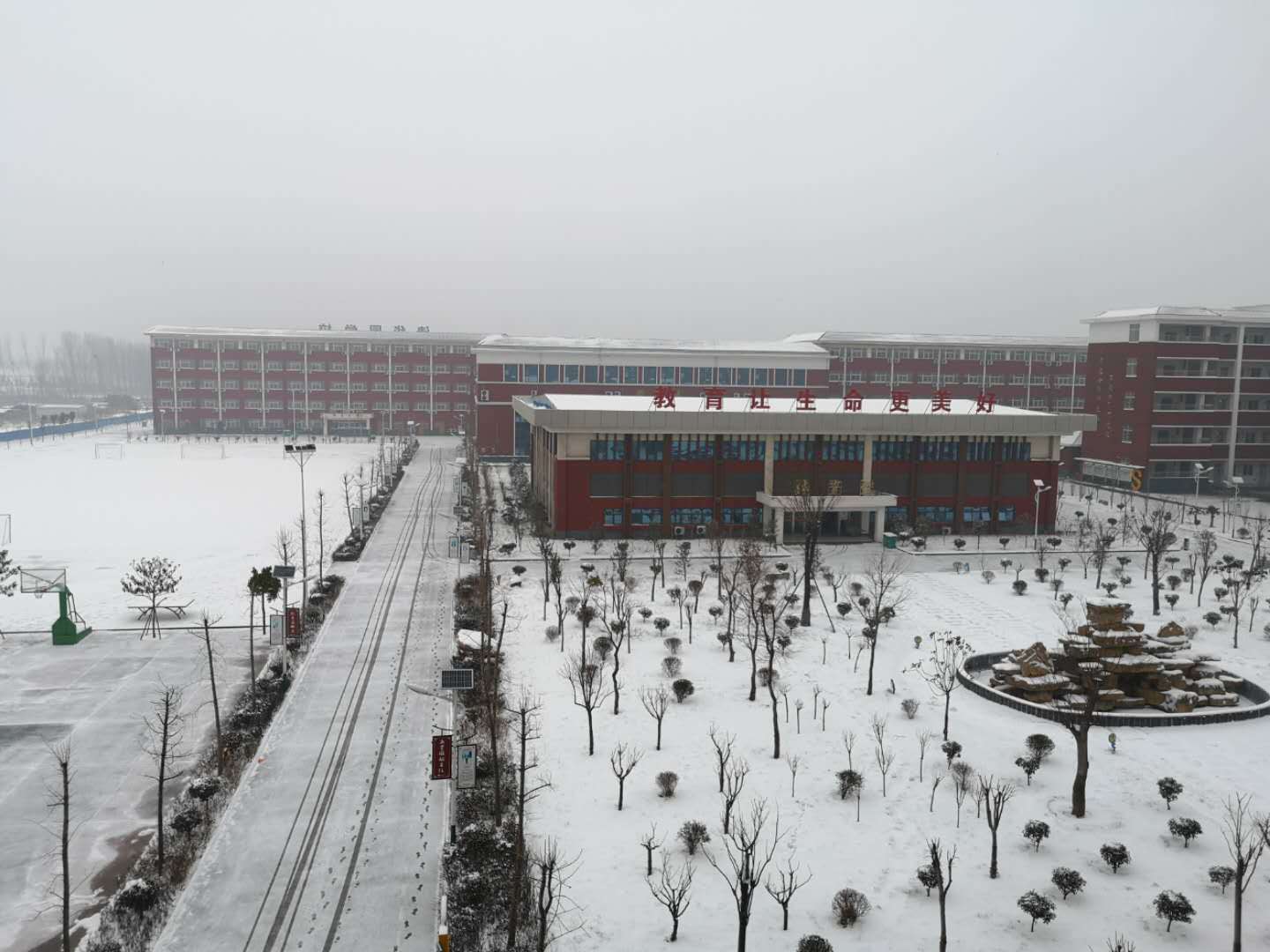 公司展示