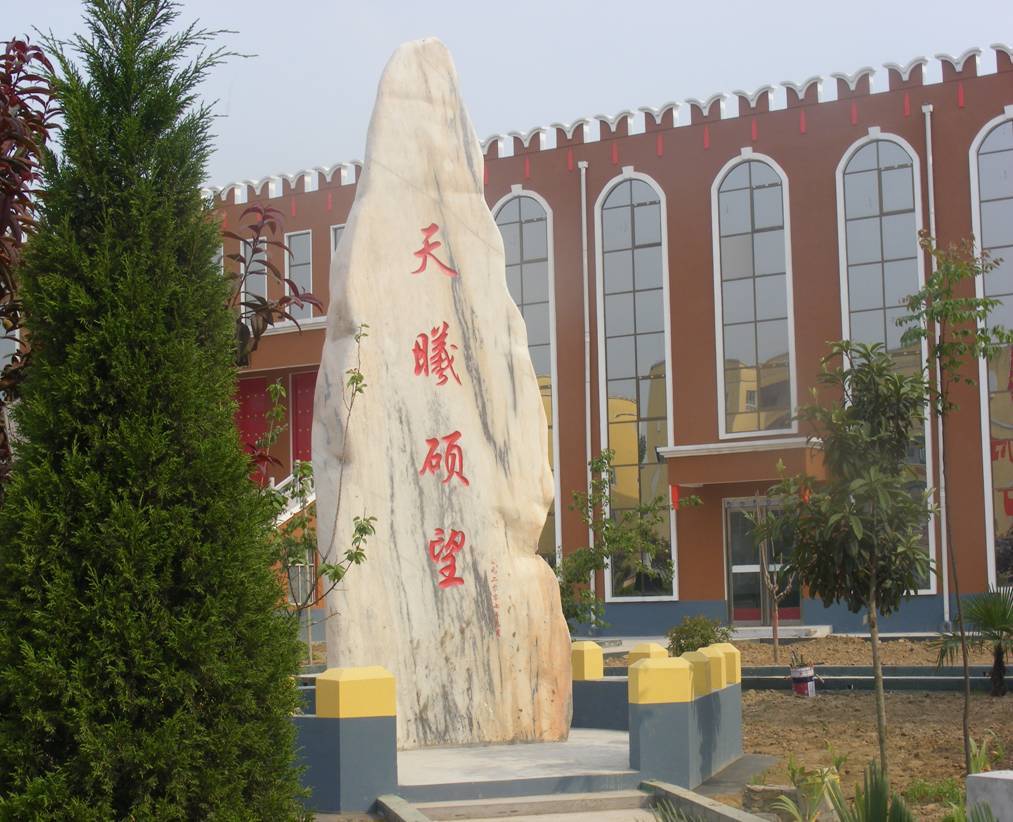 公司展示