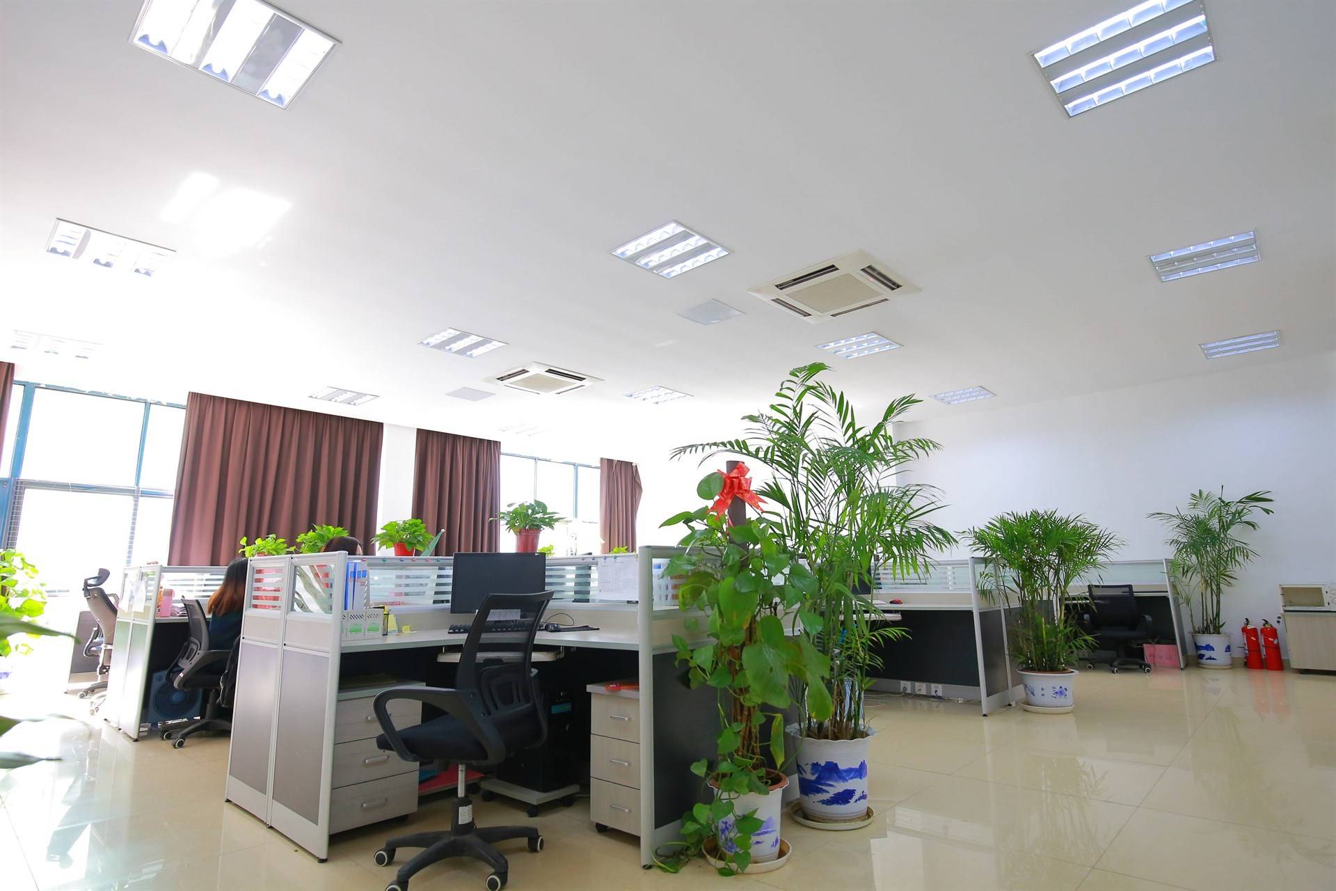 公司展示