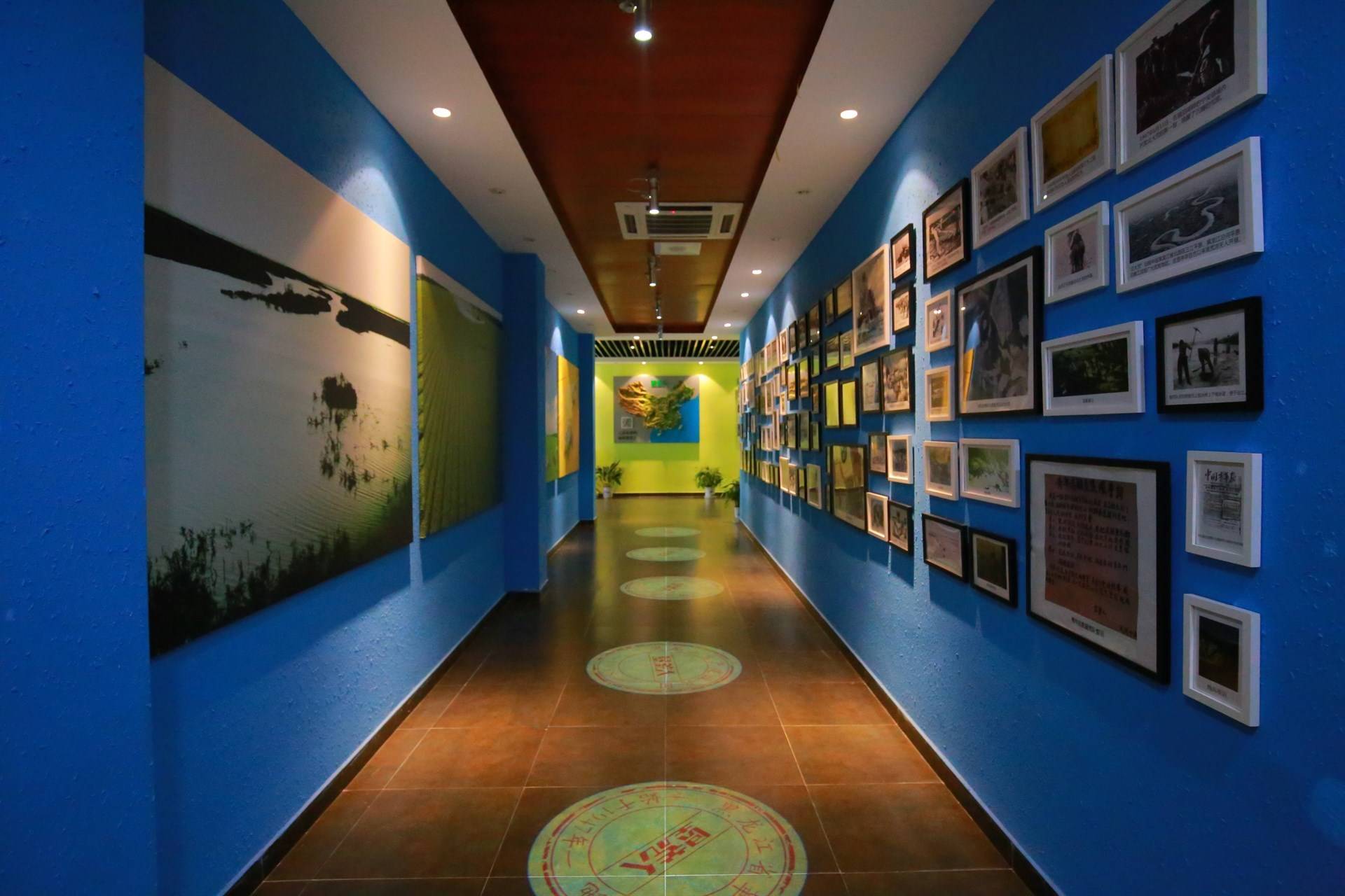 公司展示