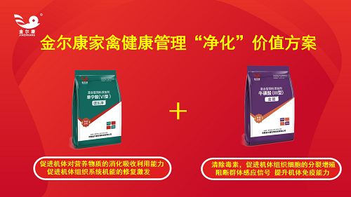 谱金净化价值方案