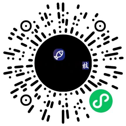 郑州布丁鱼信息科技有限公司商业运营经理/主管扫码投递简历