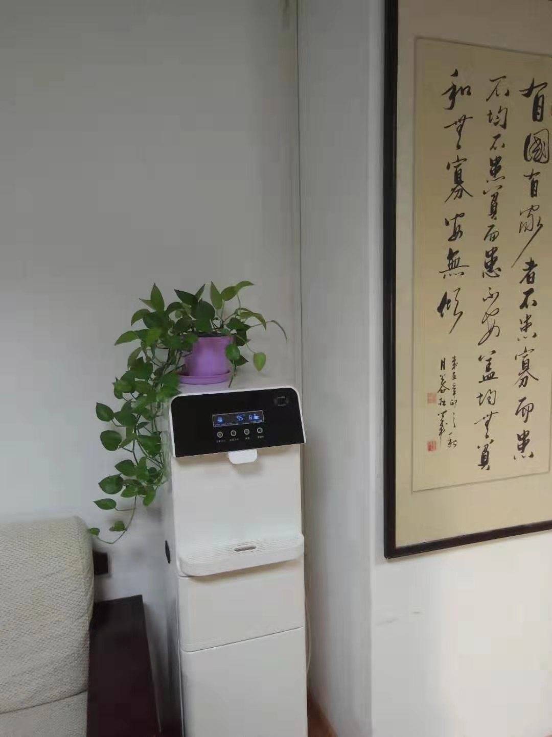 公司展示