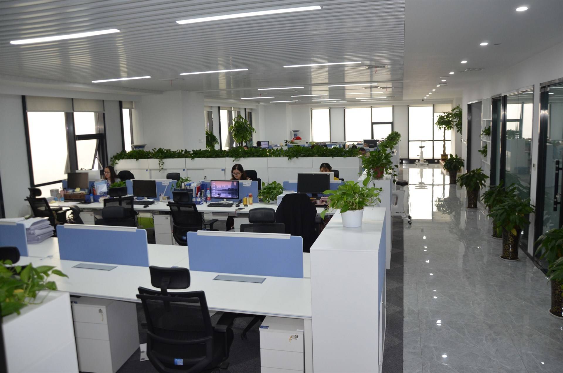 公司展示