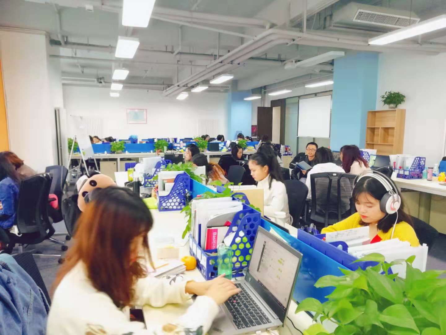 公司展示