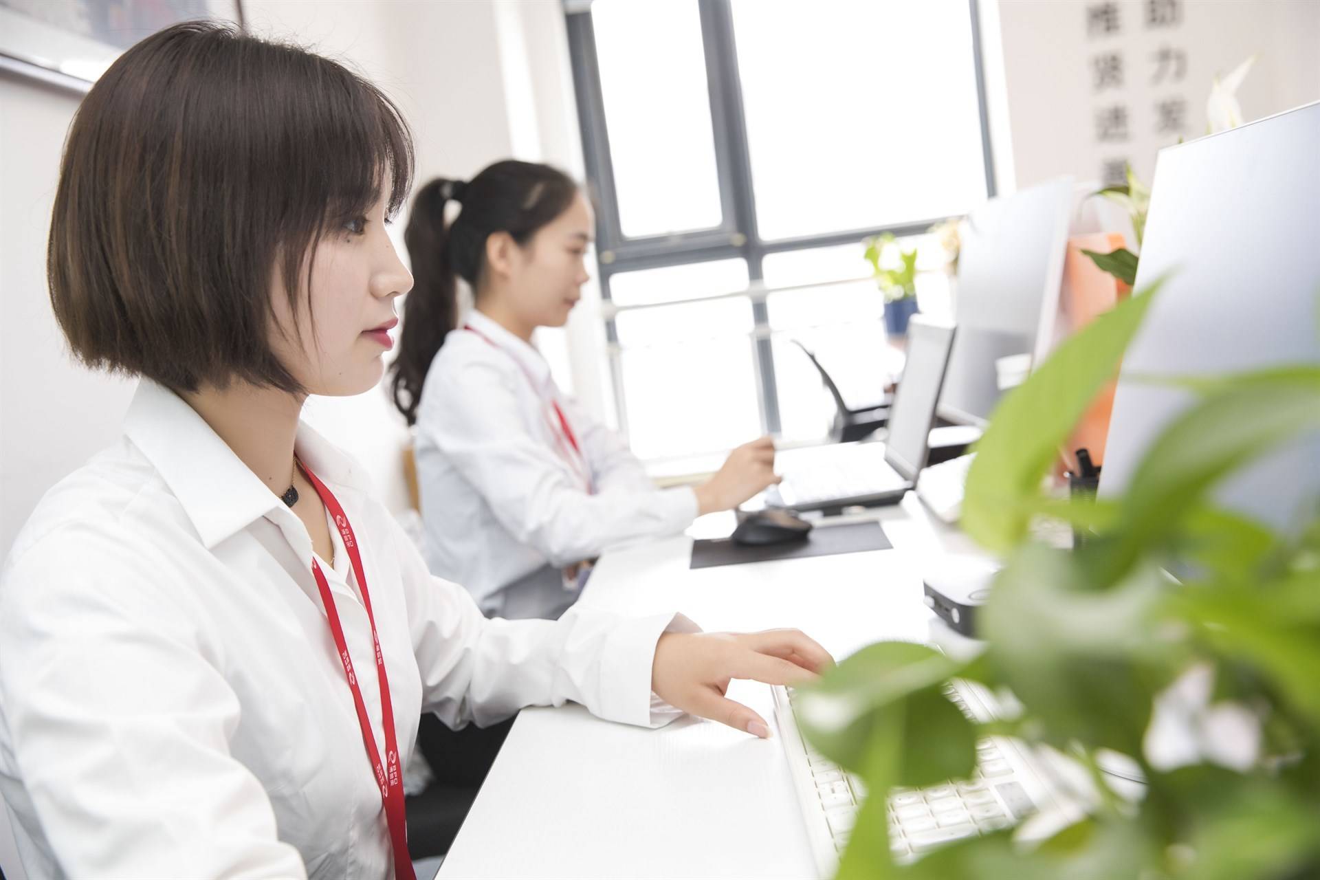 公司展示