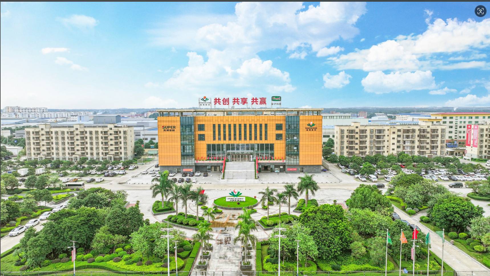 公司展示