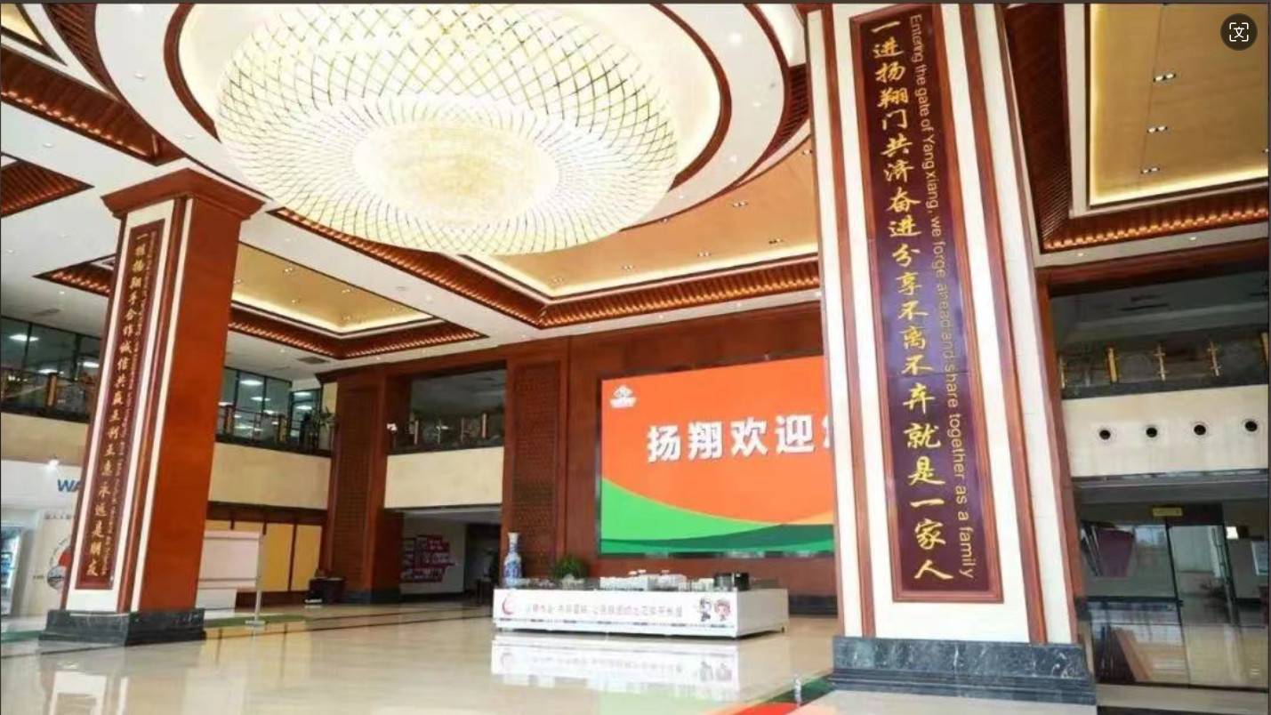 公司展示