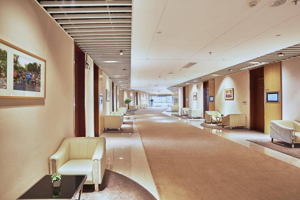 公司展示