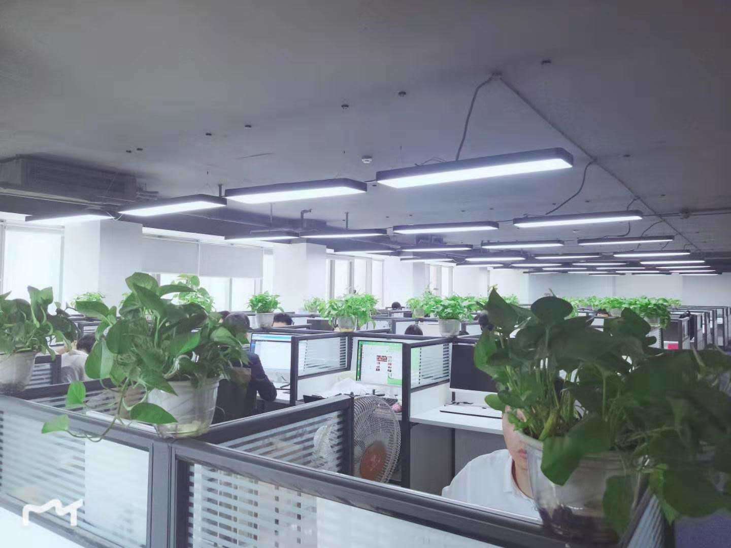 公司展示
