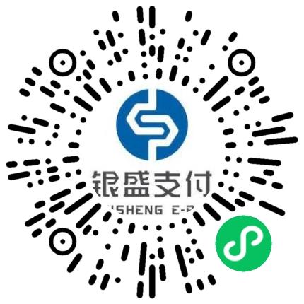 银盛支付服务股份有限公司河南分公司品牌经理/主管扫码投递简历