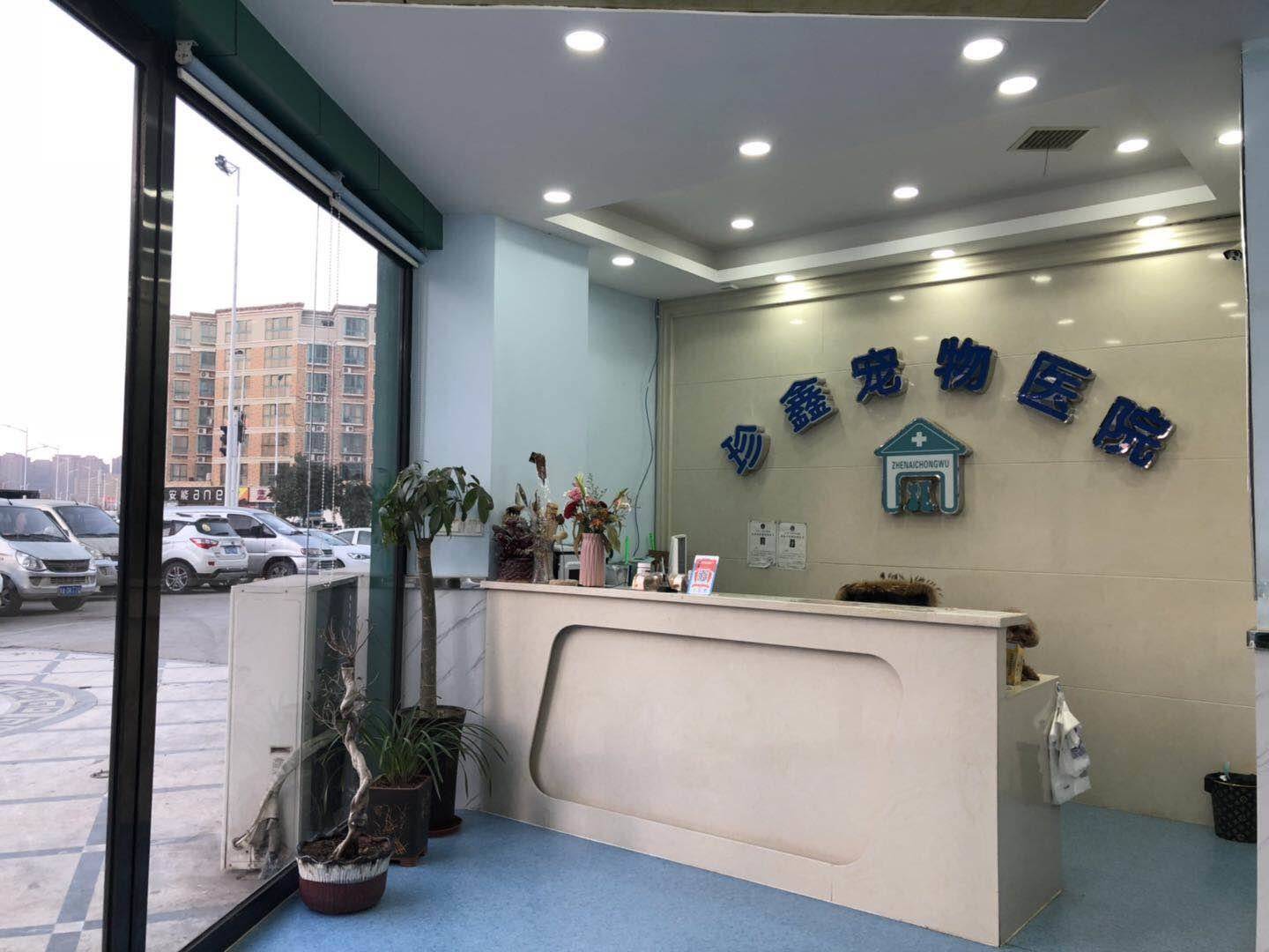 公司展示