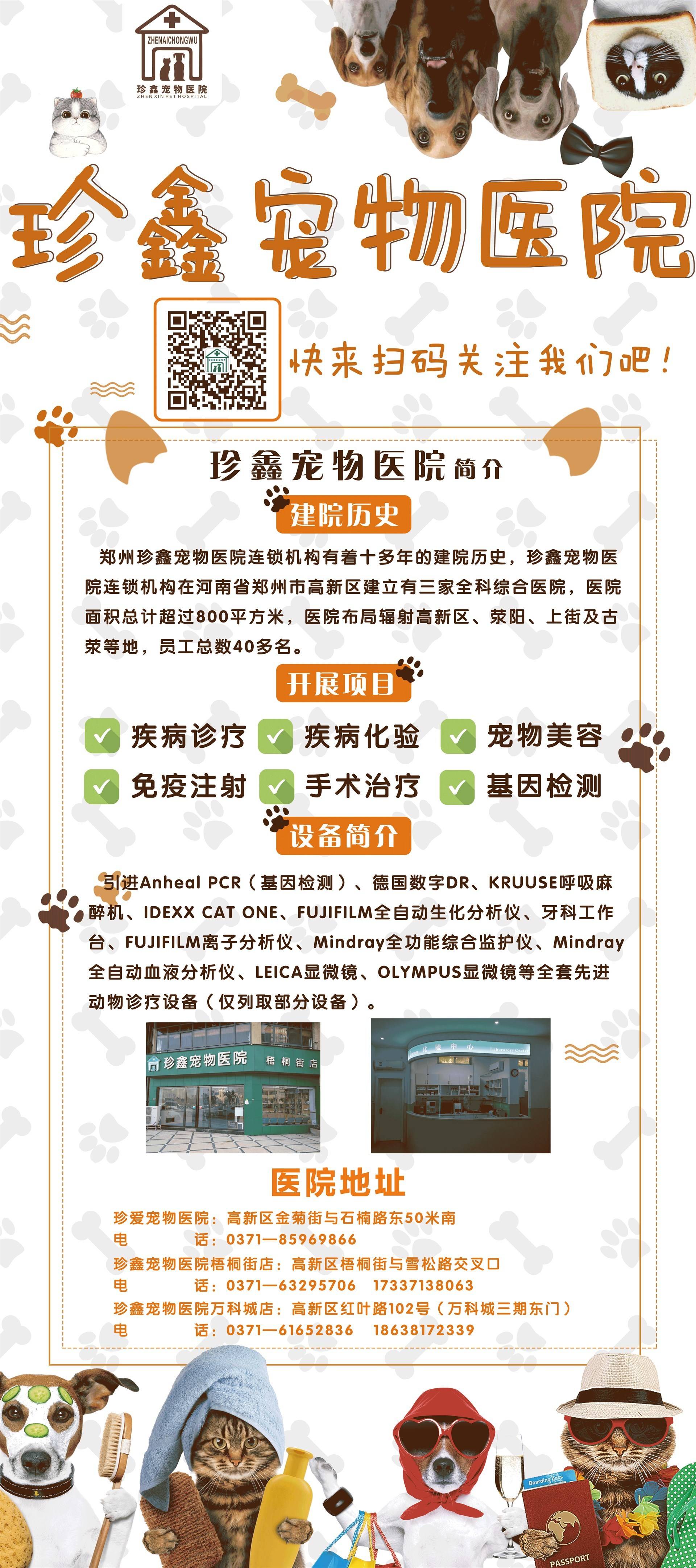 公司展示
