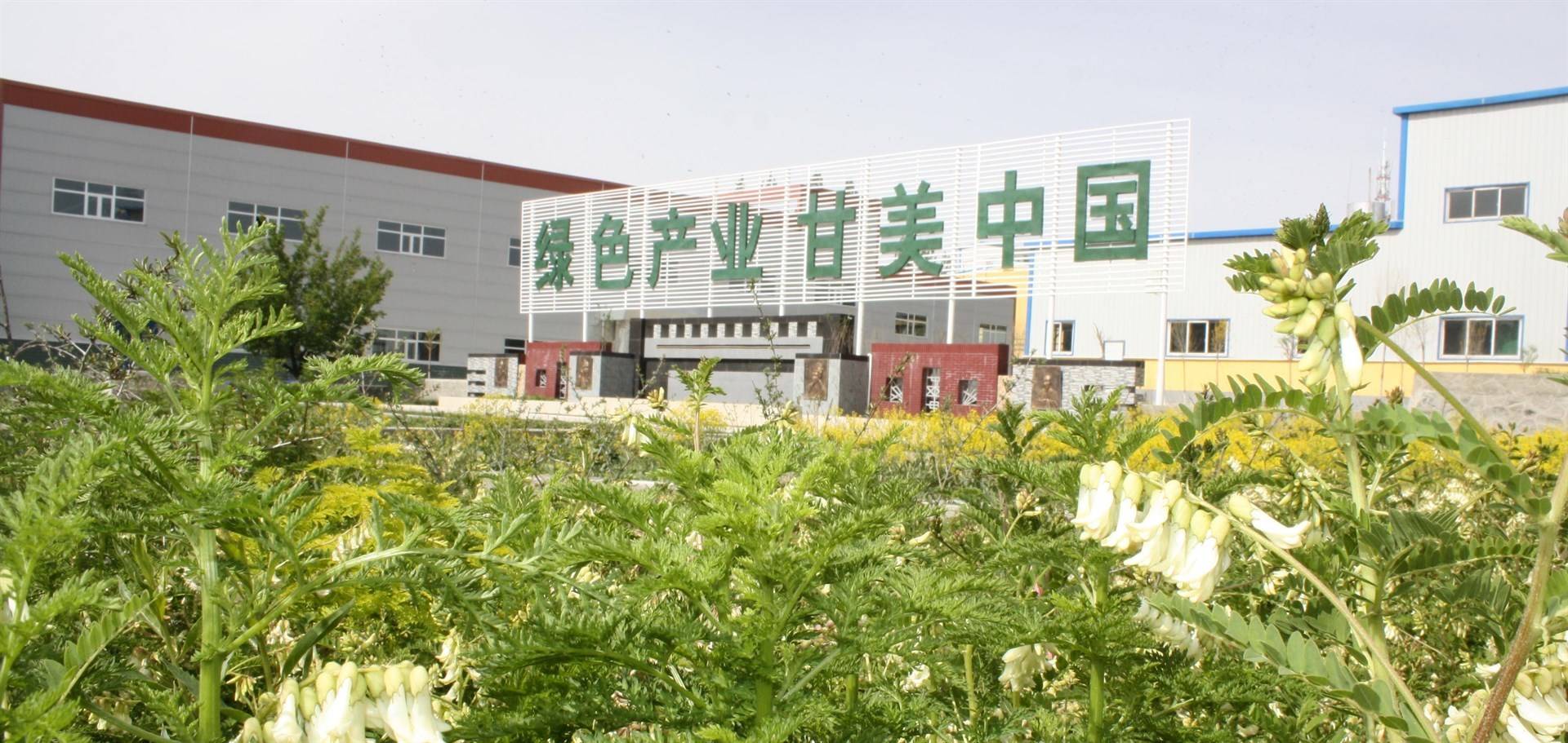 公司展示