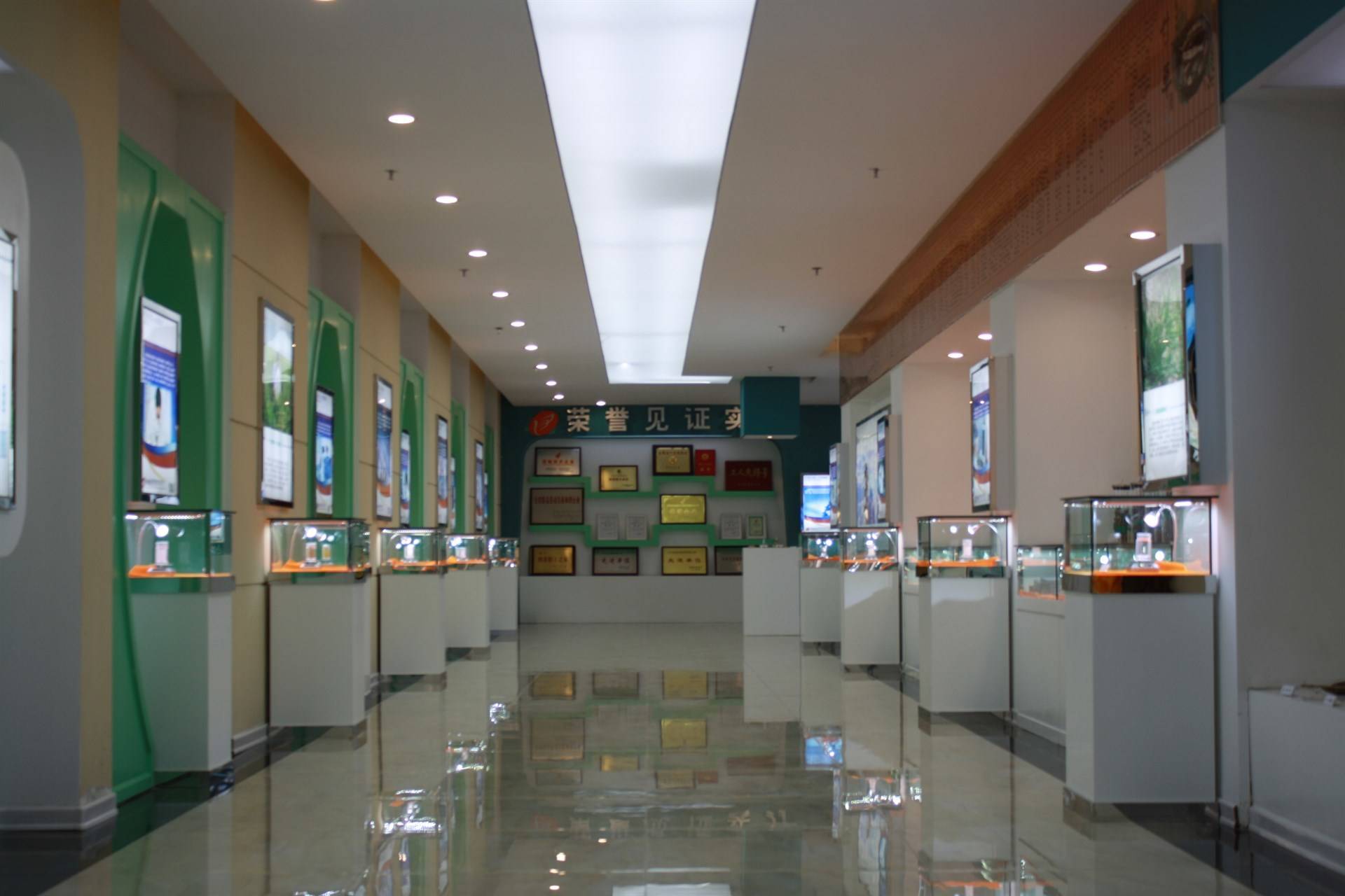 公司展示