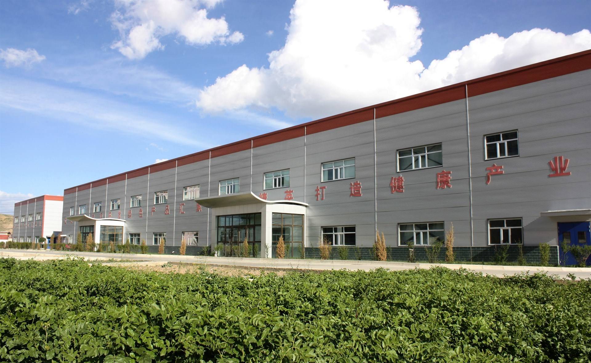 公司展示