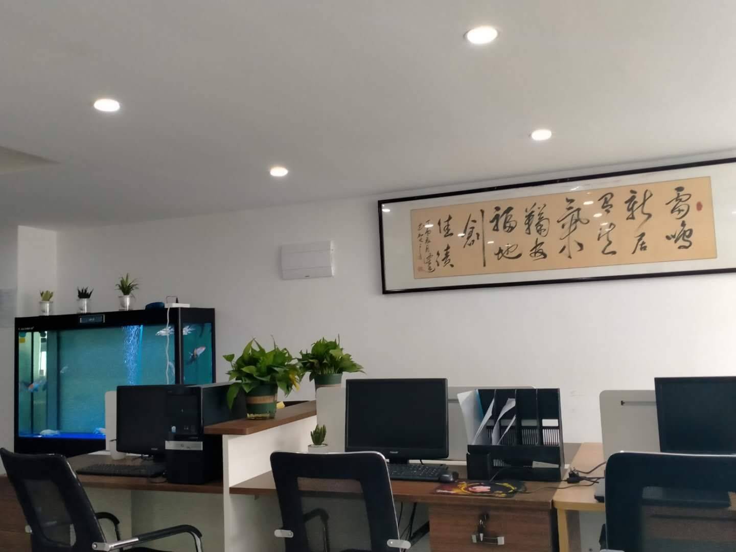 公司展示