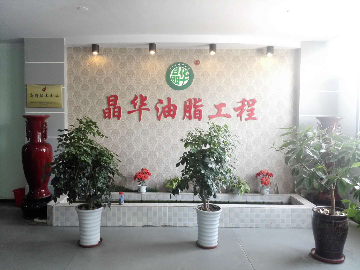 公司展示