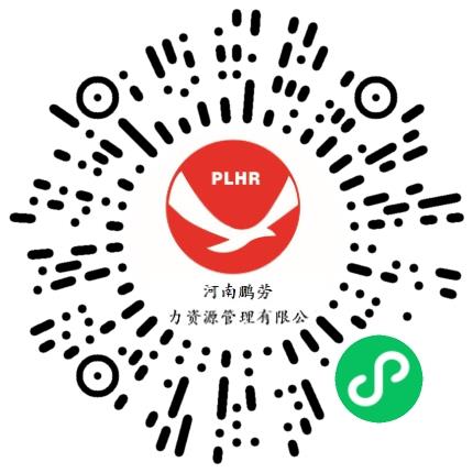 河南鹏劳人力资源管理有限公司药剂师扫码投递简历
