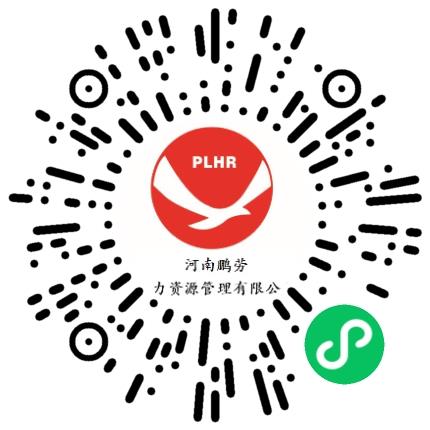 河南鹏劳人力资源管理有限公司土木/土建工程师扫码投递简历