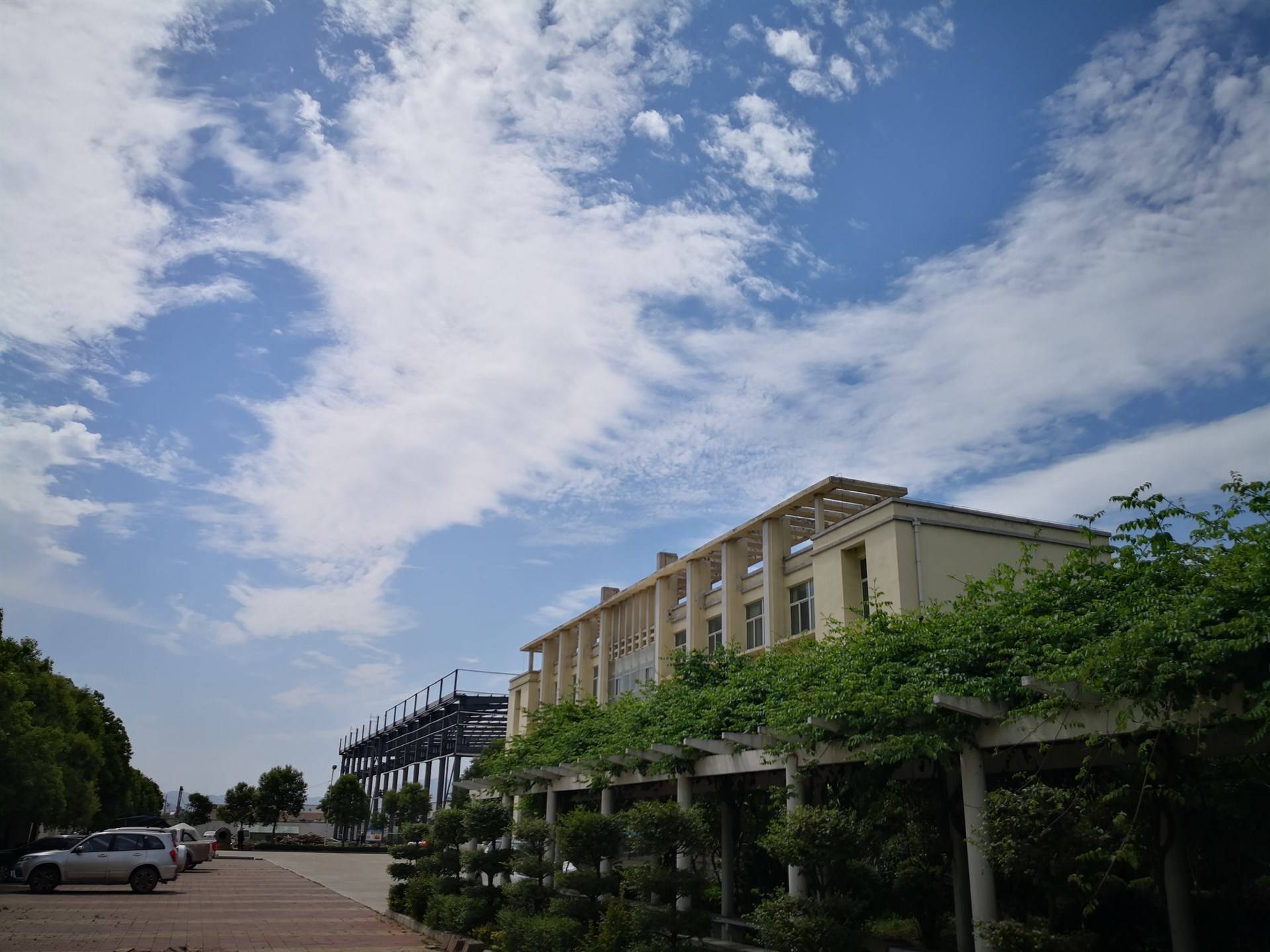 公司展示