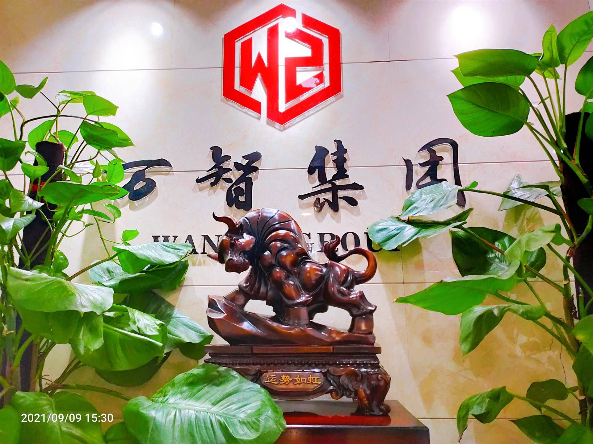 公司展示