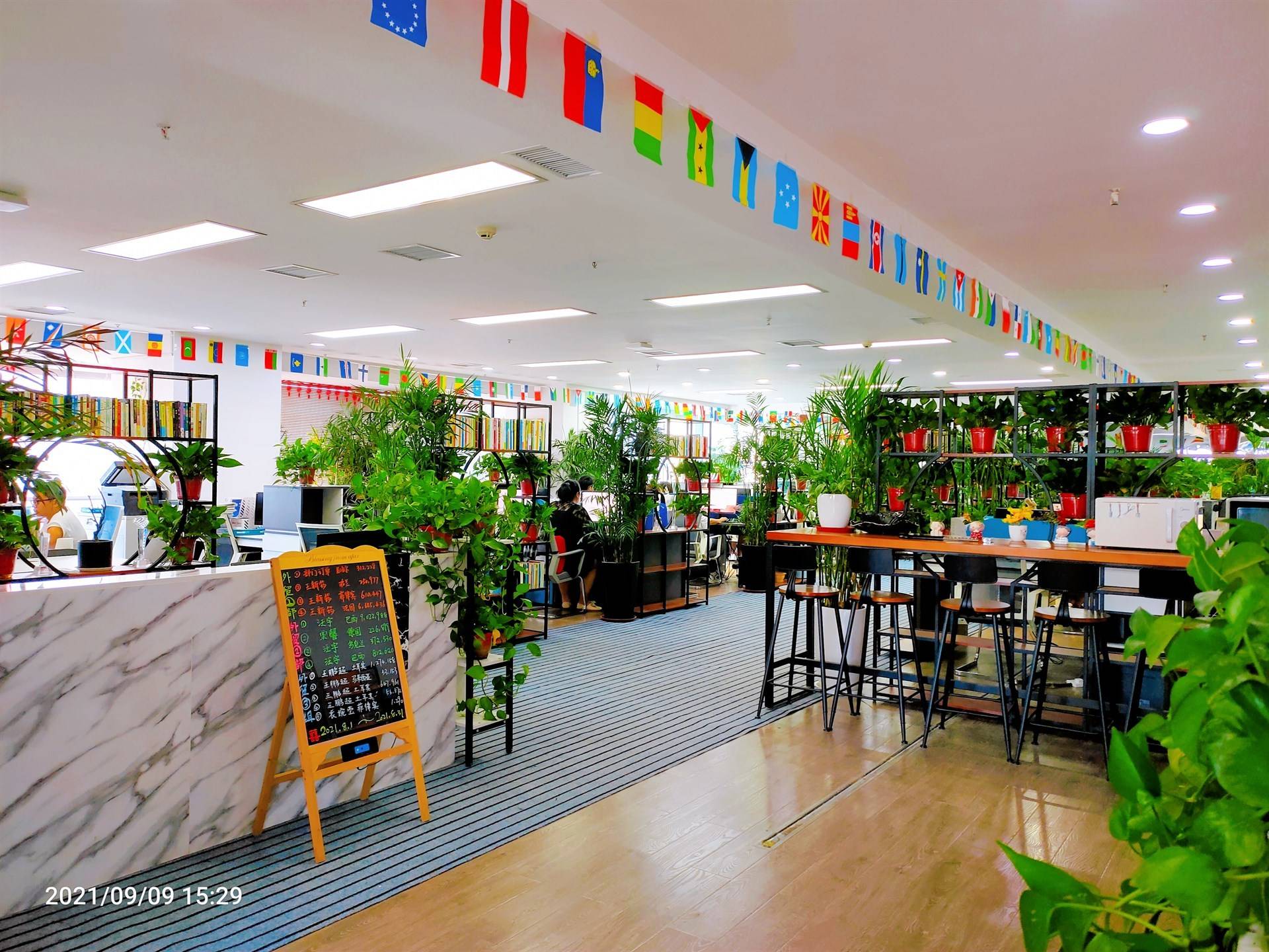 公司展示