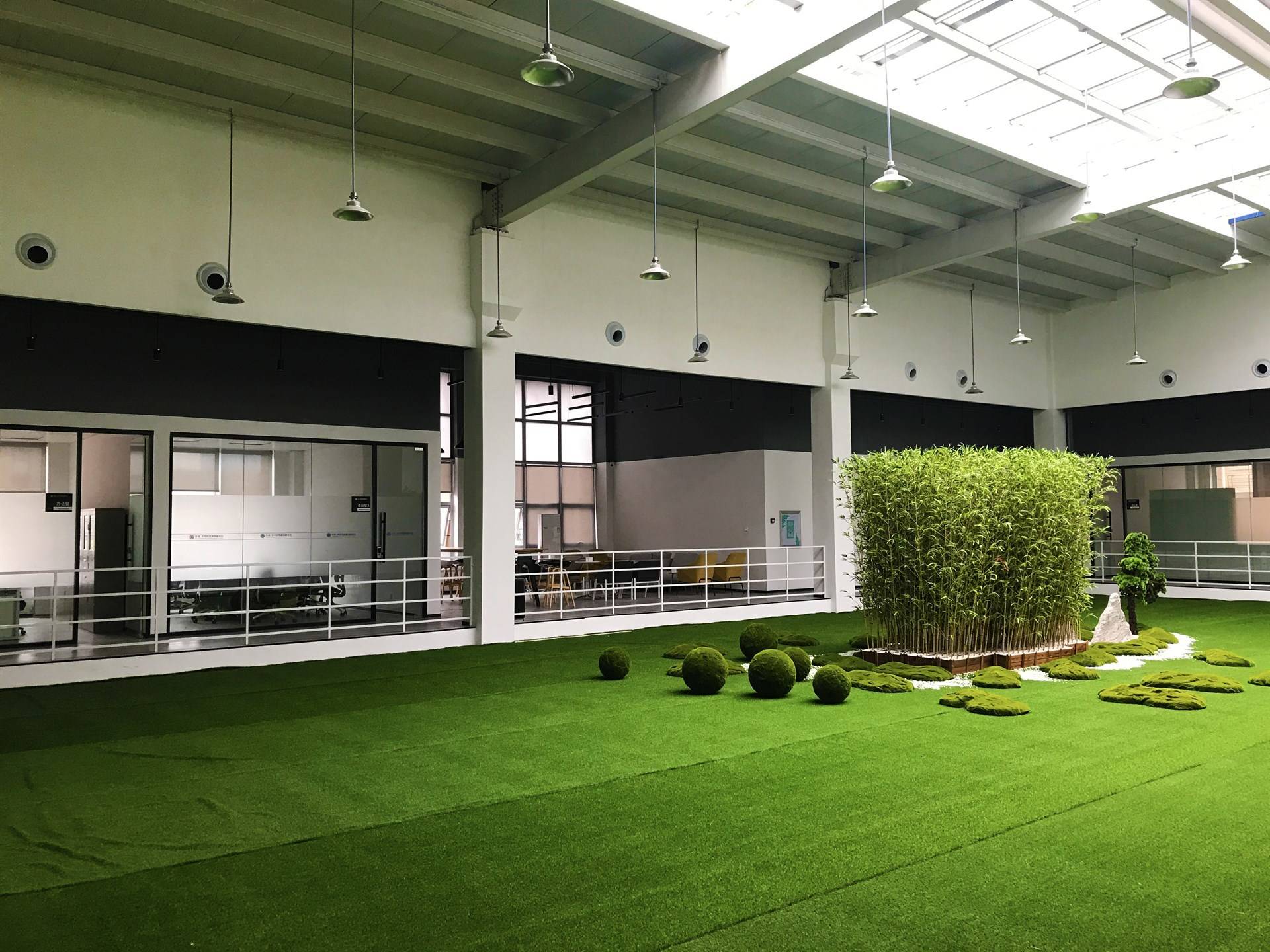 公司展示