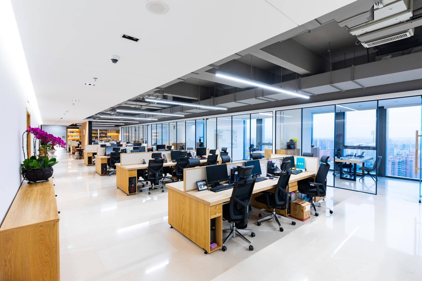 公司展示