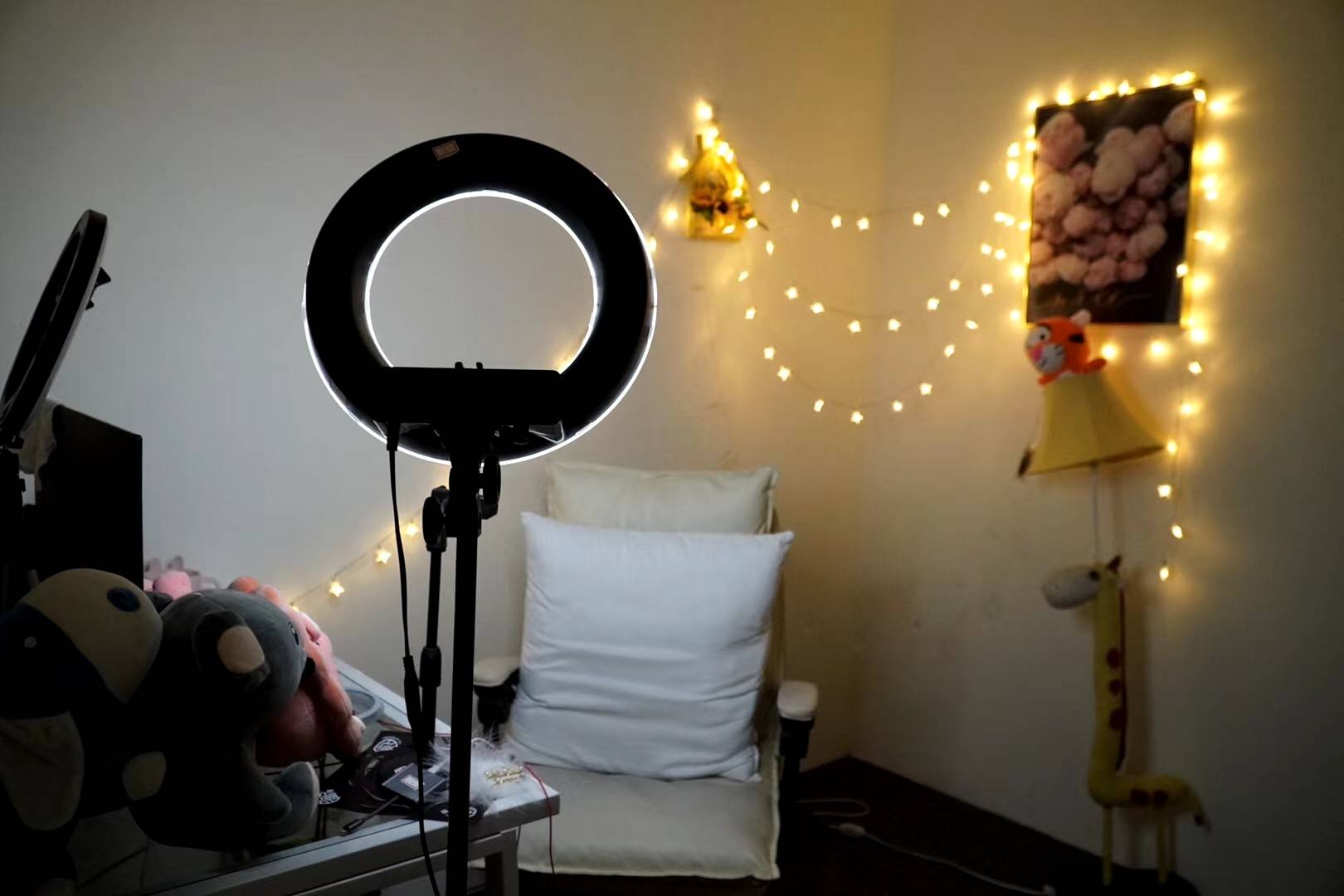 公司展示