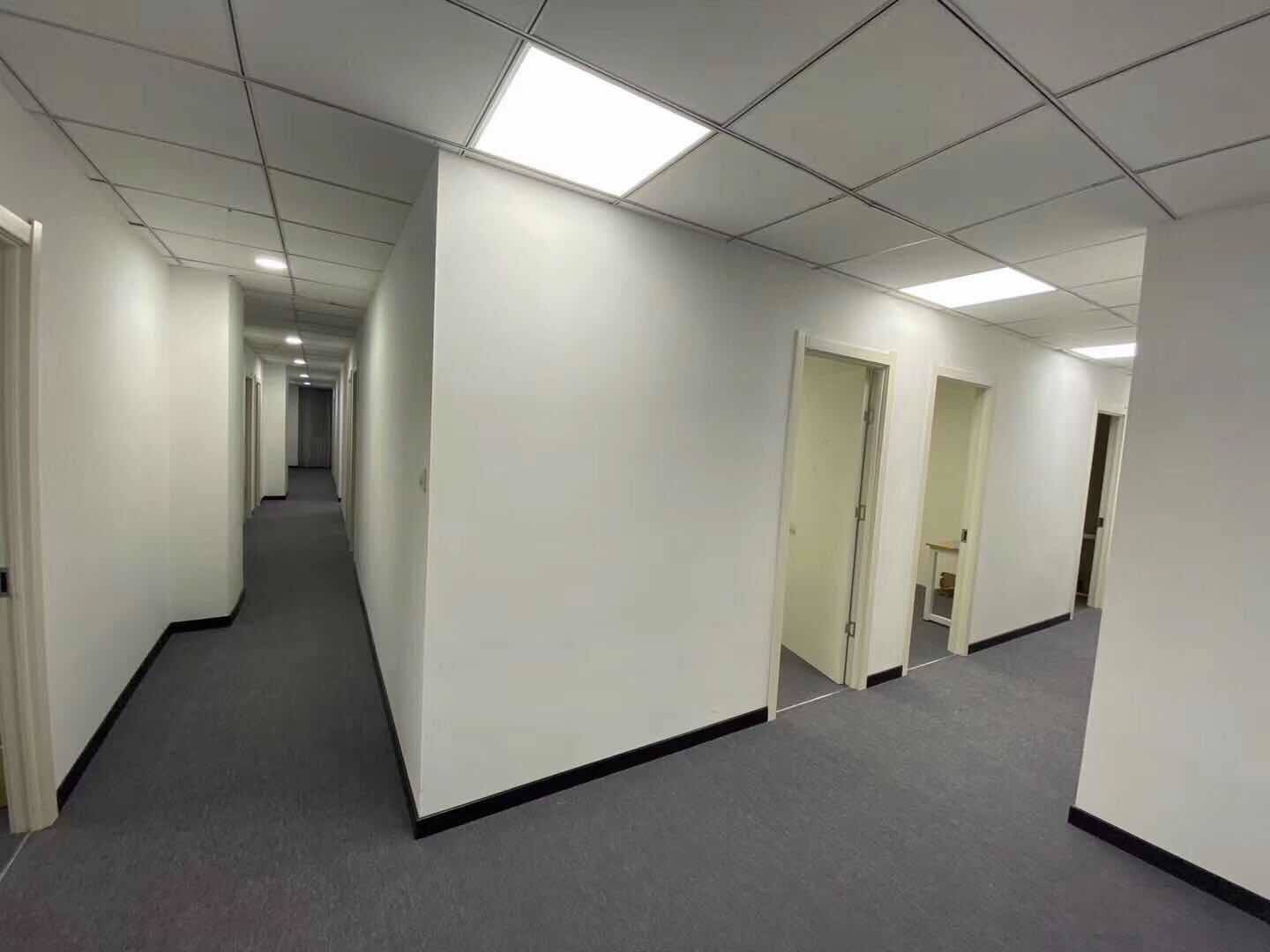 公司展示