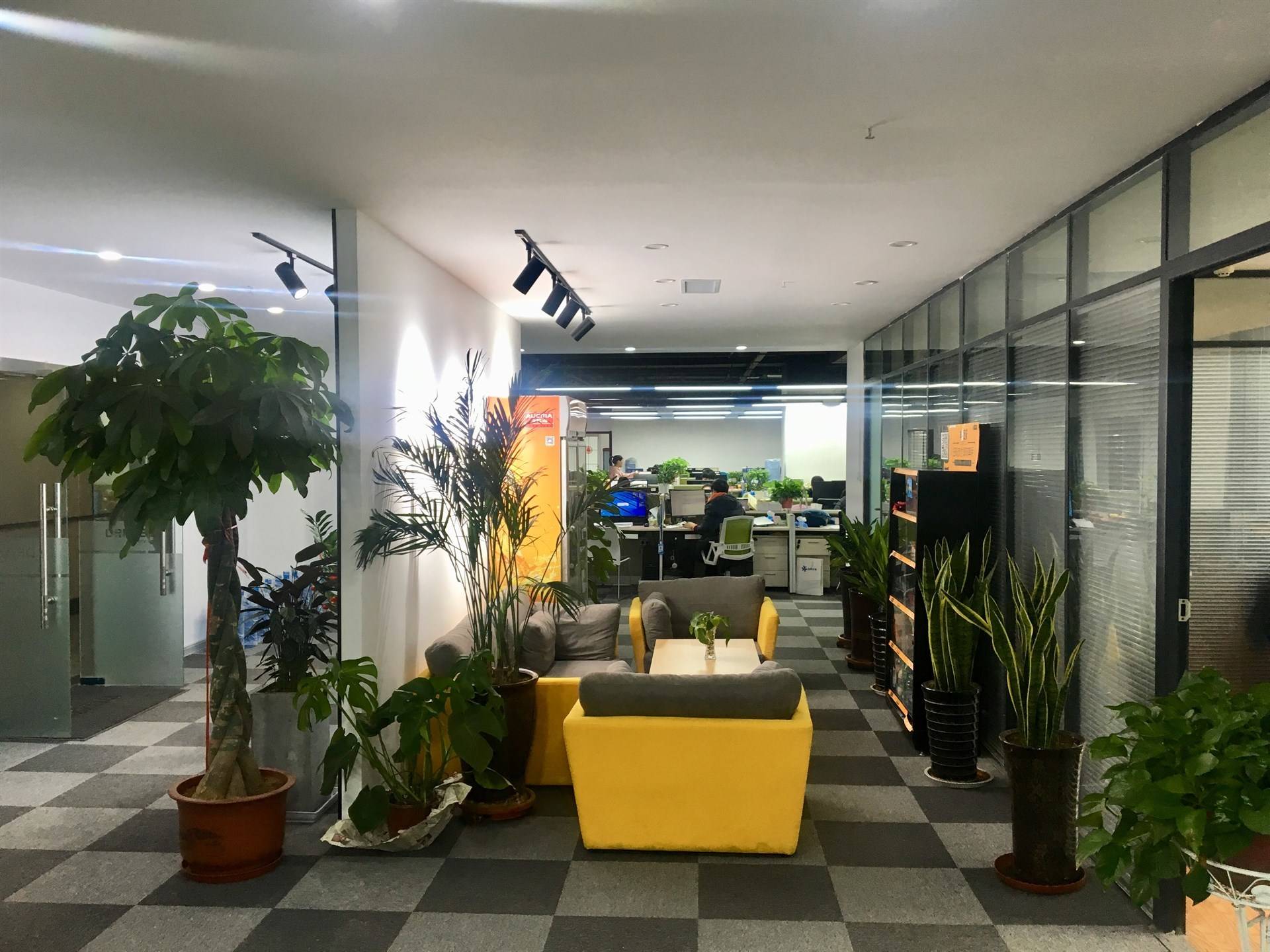 公司展示
