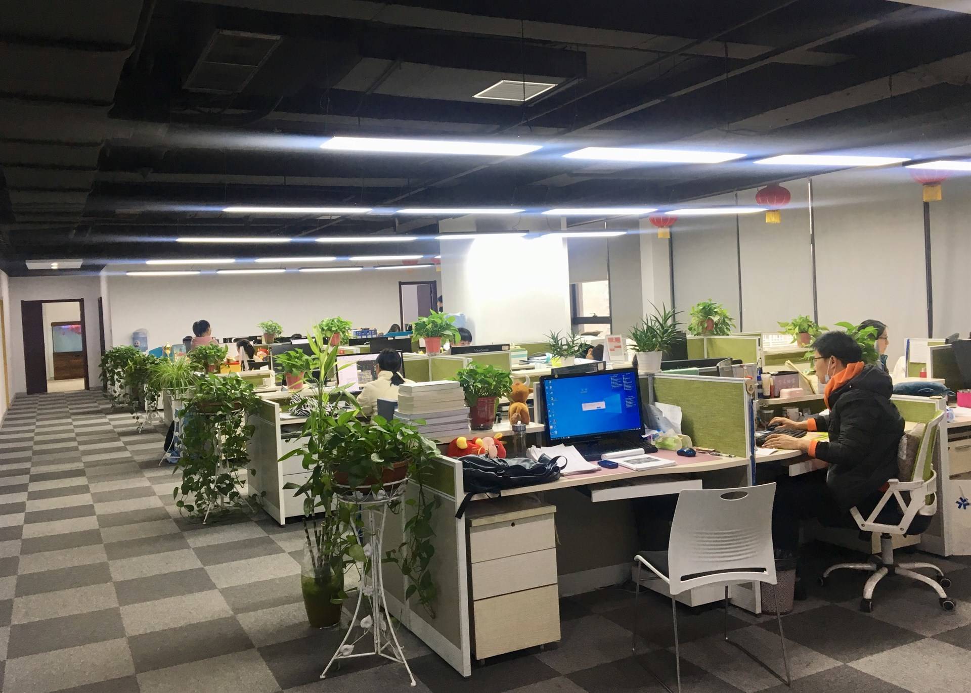 公司展示