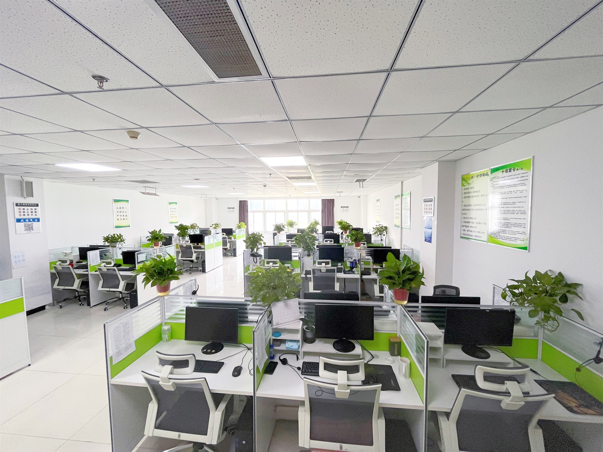 公司展示