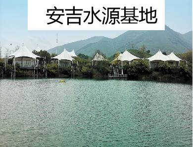 公司展示