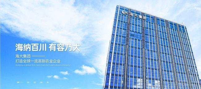 公司展示