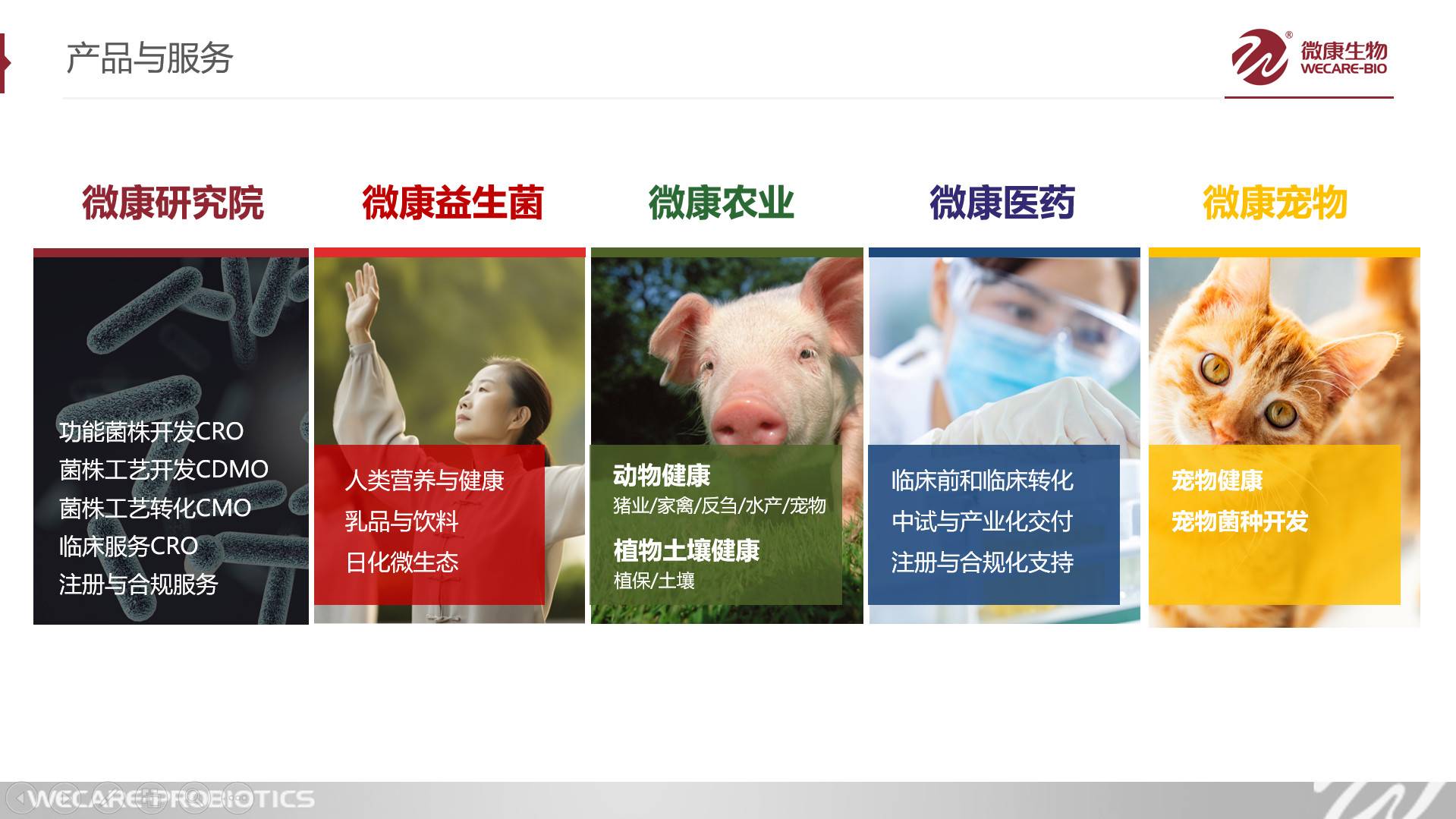 公司展示