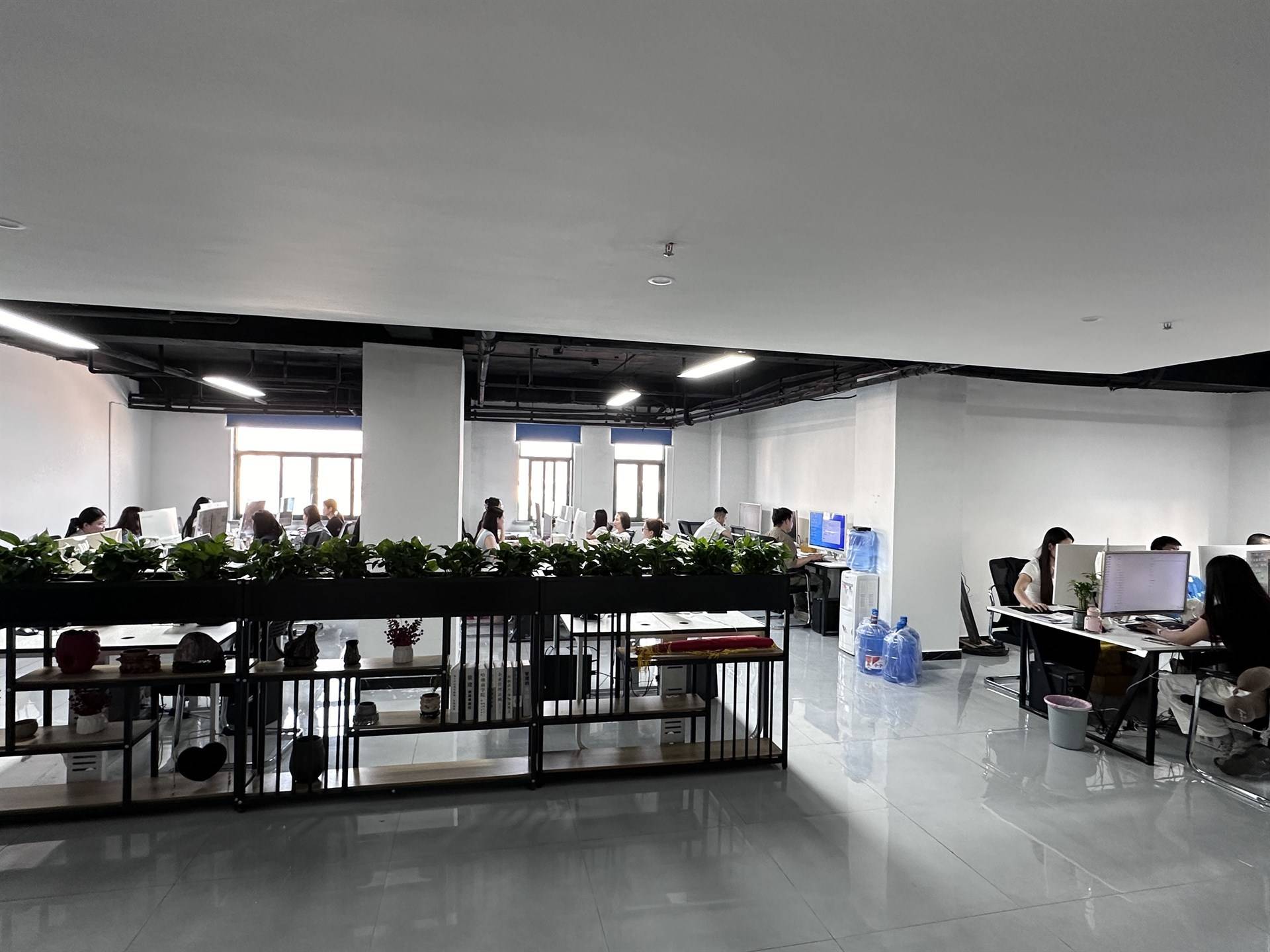 公司展示