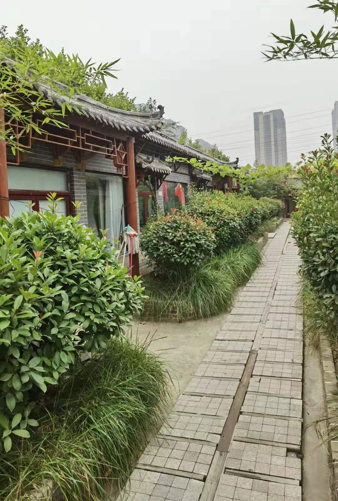 公司展示