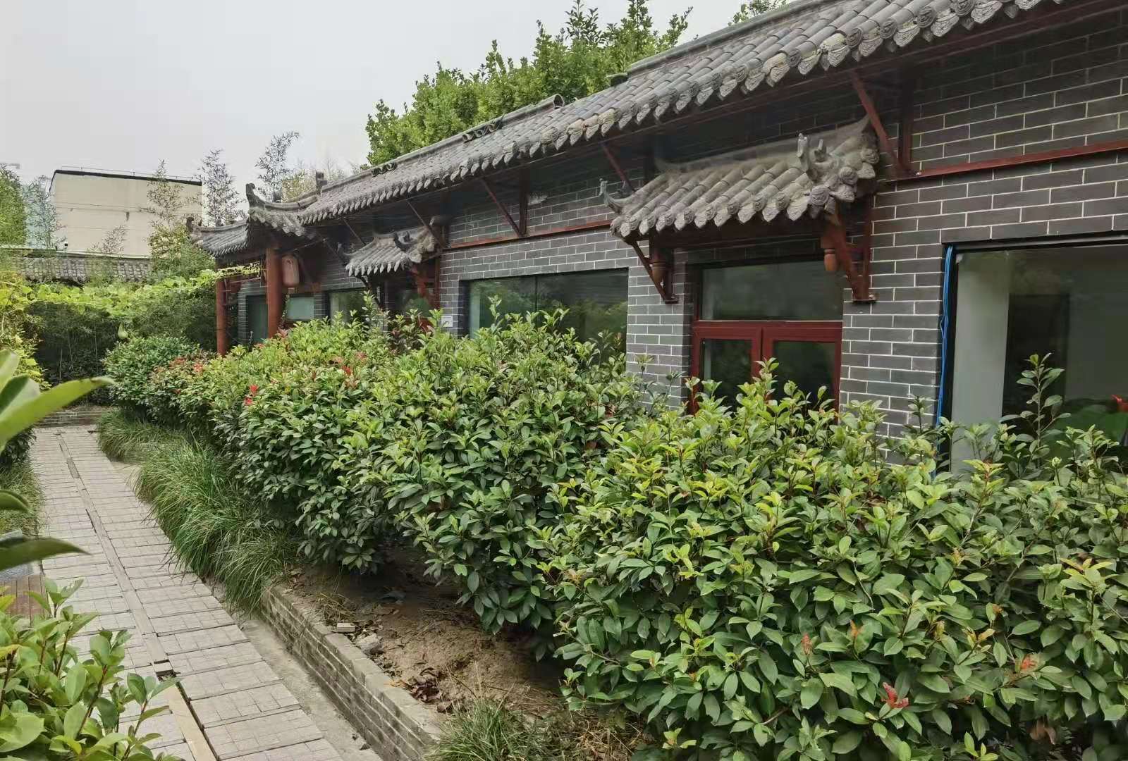 公司展示