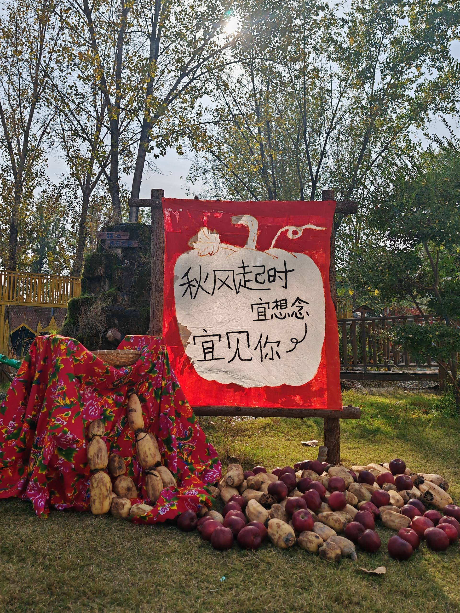 踏石的公司展示