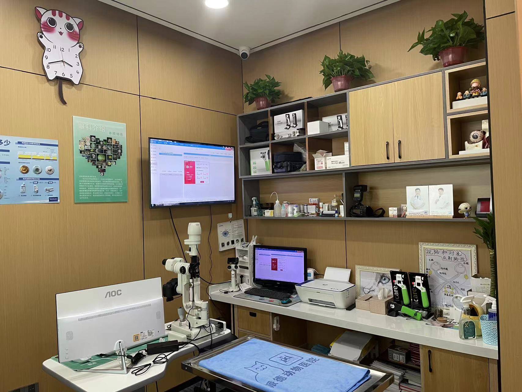 公司展示
