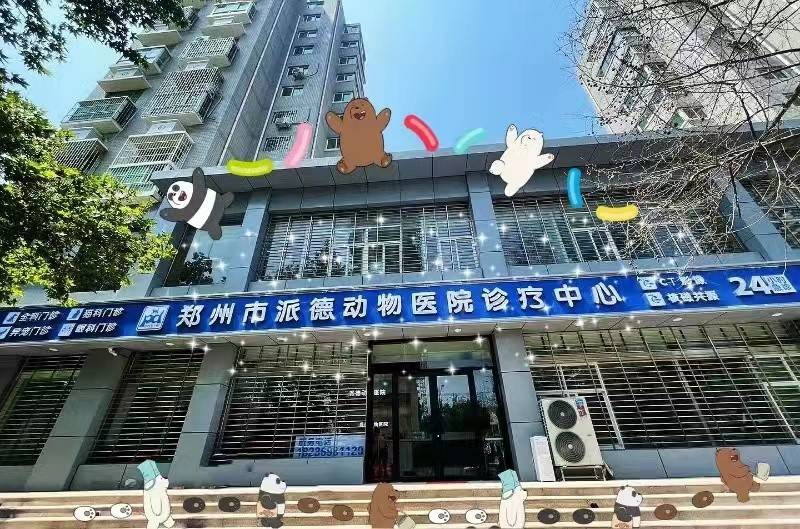 公司展示