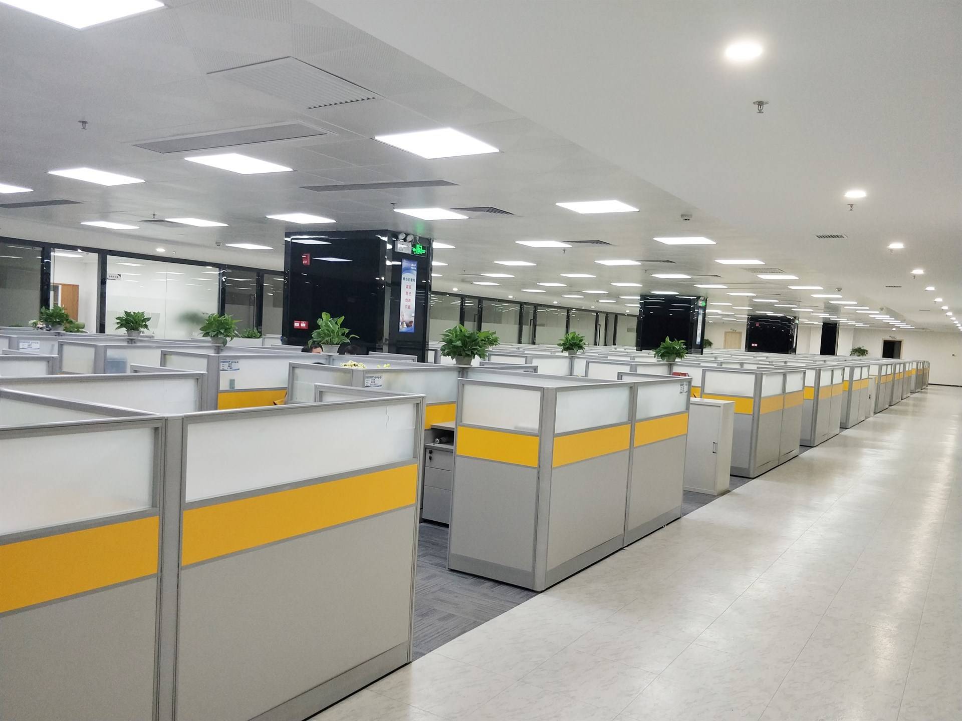 公司展示