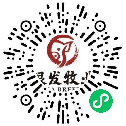 河南银发牧业有限公司兽医/宠物医生扫码投递简历