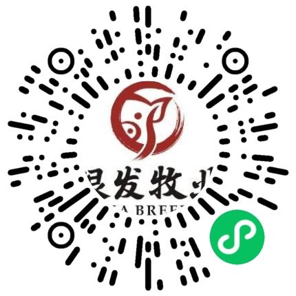 河南银发牧业有限公司法务专员/助理扫码投递简历