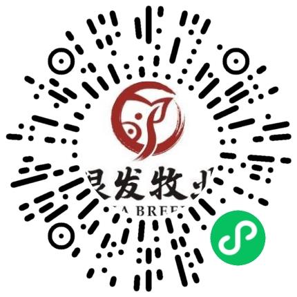 河南银发牧业有限公司财务专员/助理扫码投递简历