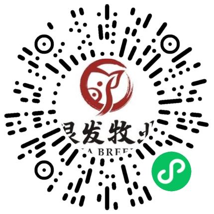 河南银发牧业有限公司管培生扫码投递简历